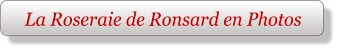 La Roseraie de Ronsard en Photos